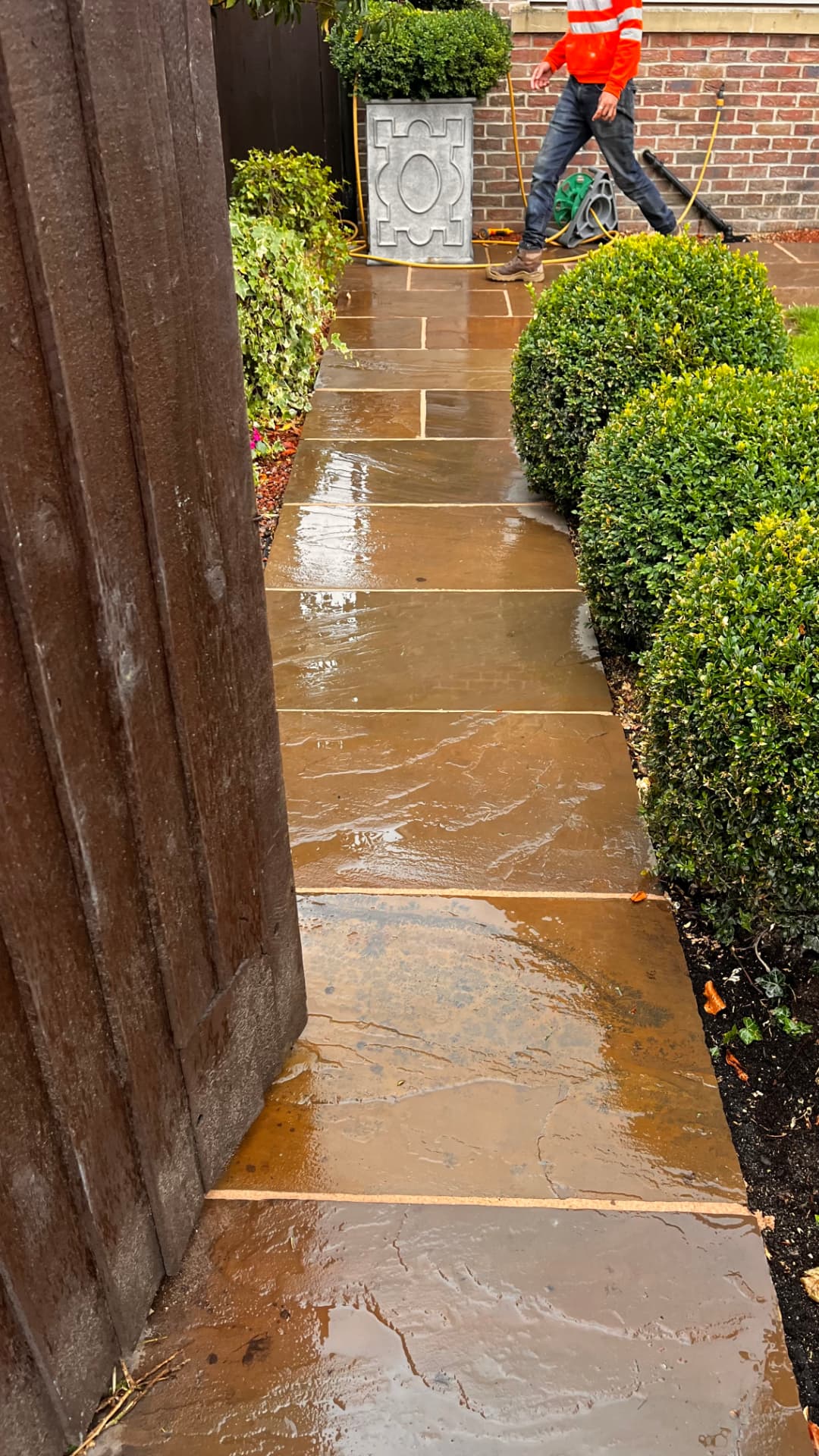 Indian sandstone pathway between clipped box hedges after cleaning