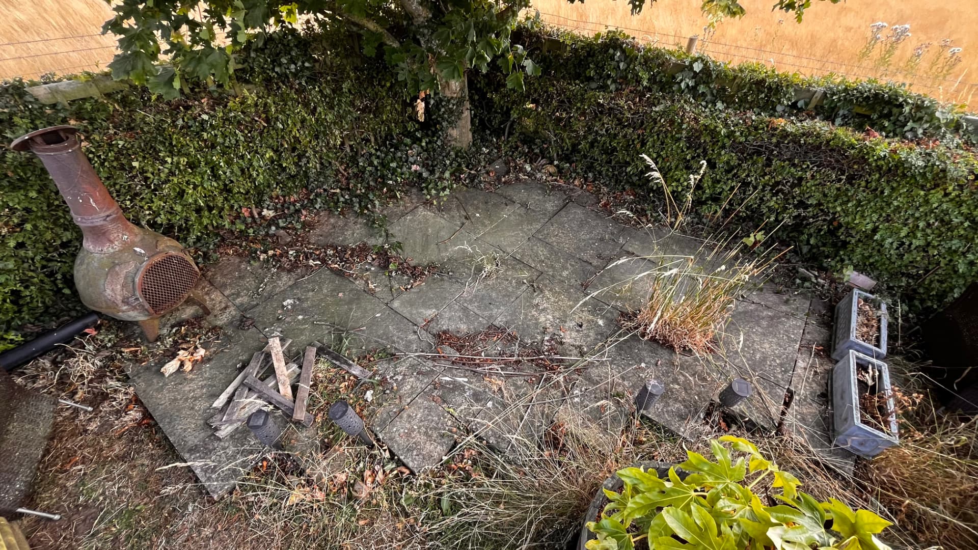 The same patio area before work, overgrown with weeds and old slabs